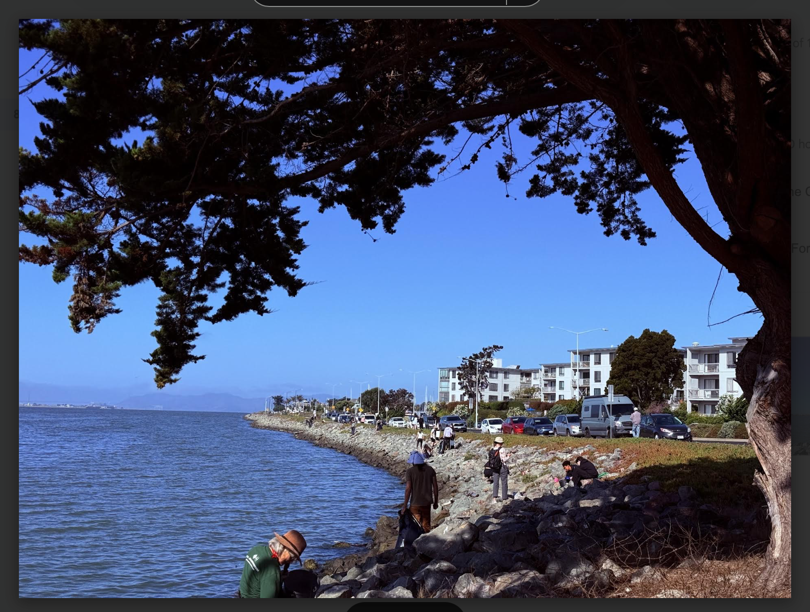 Coastal Cleanup