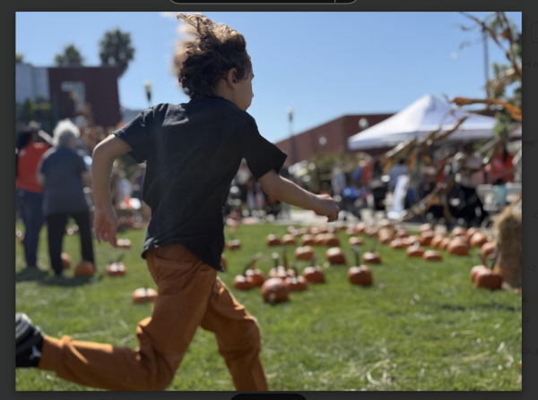 Harvest Festival in Photos